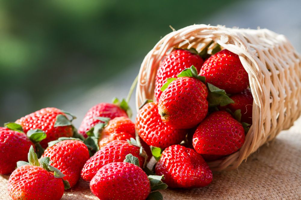 World's most expensive strawberry sells out at 350 piece Al Bawaba