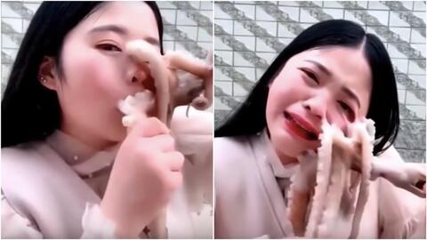 Woman Attacked by Octopus After Trying to Eat it Alive