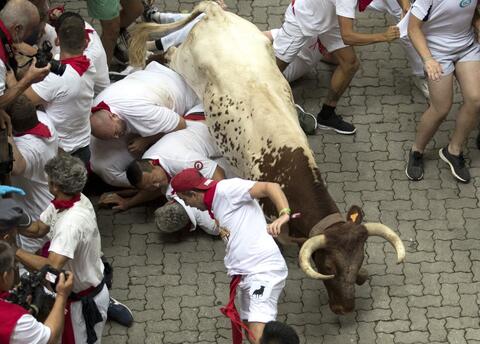 Pamplona Bull Run Leaves 5 Injured in Spain