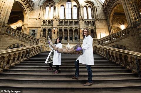 London Exhibit: Is it Harry Potter That is Inspiring Science?