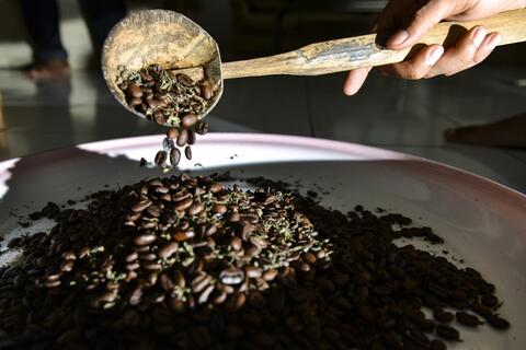 Saudi Arabia Kicks off Coffee Beans Festival in Jazan