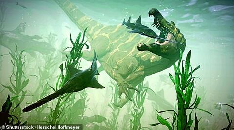 Dinosaurs Once Lived Underwater in The Sahara Researchers Find