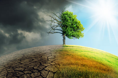 World Environmental Disasters: What Can We Expect For 2021?