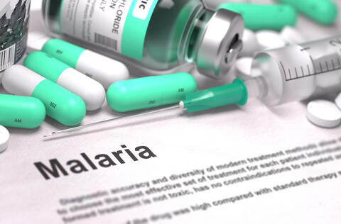 Will Climate Change Wipe out Malaria?