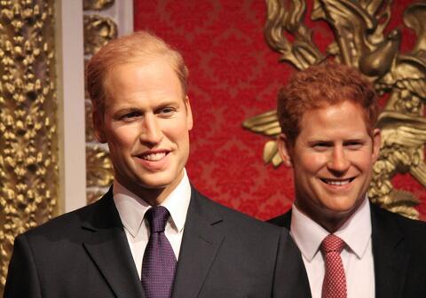 If Princess Diana Was Alive Prince William and Prince Harry Wouldn't Have Fallen out 