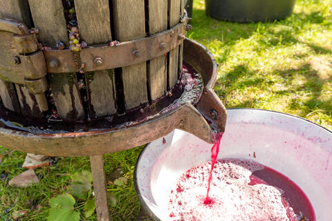 Over 2,600 Years Old: The Oldest Wine Press Found in Lebanon 
