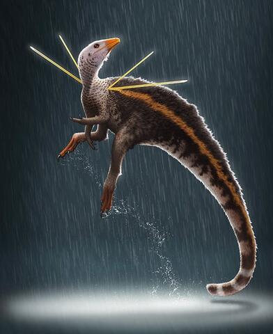 Scientists Discover Dancing Chicken-Sized Dinosaur