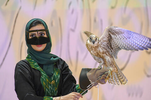 How do Falcons and Poetry Come Together?