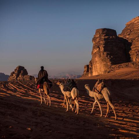 Meet The Saudi Photographer Who Waits For The Right Moment to Click