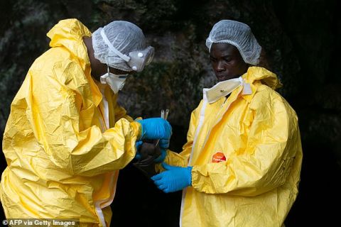 Scientists begin work on vaccine for new pandemic 'Disease X'
