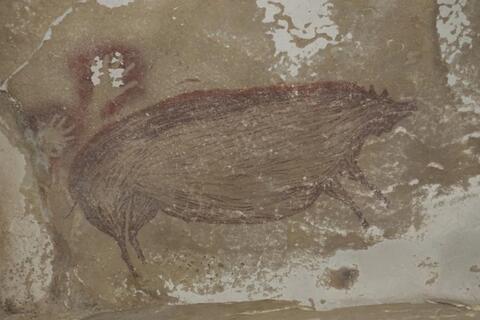 Painting of a Warty Pig Dates Back to 45,500 Years!