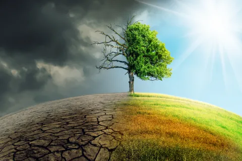 Poll: World Population Say Climate Change Constitutes 'Global Emergency'