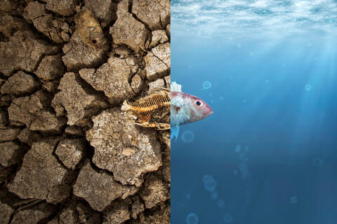 World Environmental Disasters: What Can We Expect For 2021?