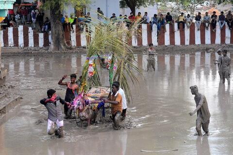 Watch: Cow Dung Hurling Ritual in India's New Year Fest