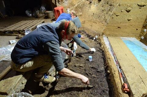 DNA From Bulgarian Cave Reveal Much About Homo Sapiens