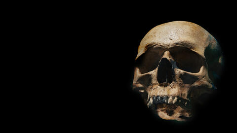 The Oldest DNA is to a Czechia Woman Who Lived 45000 Years Ago