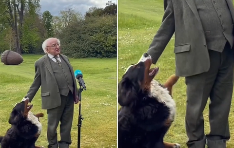 Even the President's Dog Needs Attention!