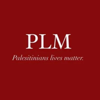 Censorship of Pro-Palestine Content Criticized by Social Media Users