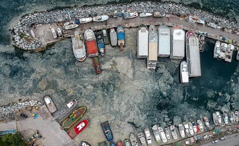 Why is 'Sea Snot' Blighting Turkish Beaches?