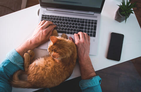 7 Reasons Why Passionate Employees Lose Motivation