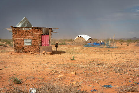 Millions of People May Become Climate Refugees The Worldover