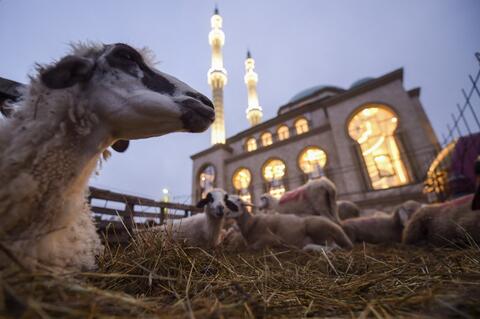 Muslims Celebrate Eid al-Adha in COVID’s Shadow