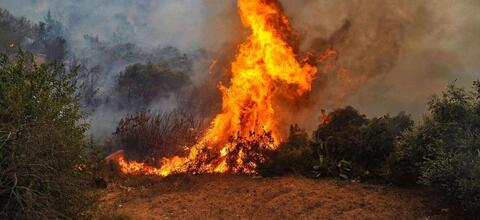 Death Toll in Turkey's Forest Fires up to 3 With 62 Hospitalized 