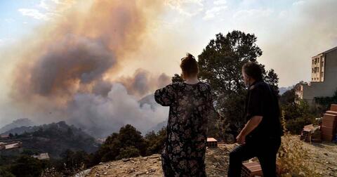 تبون: مجرمون اشعلو الحرائق