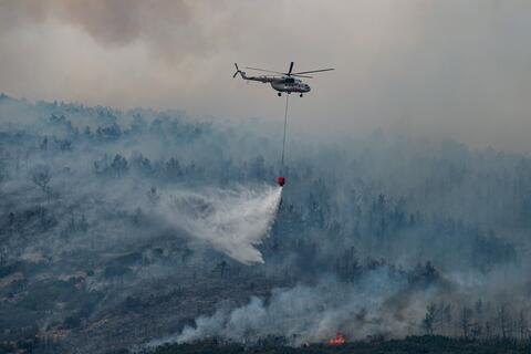 Turkey Successfully Controls 167 Wildfires
