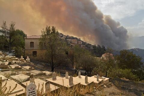 Algeria Fires Death Toll Spikes to 42