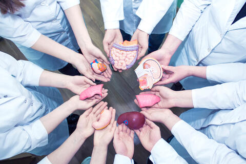 Doctors Unveil The World's First Unisex Condom