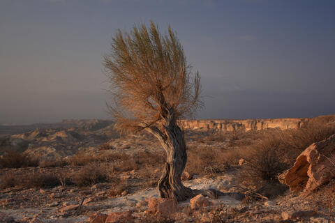 How Did Saudi's AlUla Link History With Civilization?