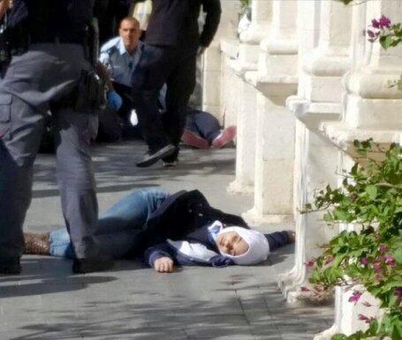 نسبة الشهيدات في فلسطين عام 2021 الاعلى في التاريخ