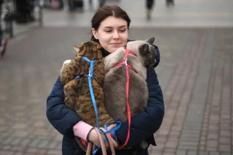 Save The Pets! Ukrainians Flee With Their Cats And Dogs