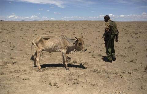 شبح المجاعة يخيم على القرن الإفريقي بعد 4 مواسم جفاف