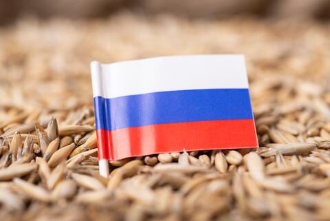 Pakistan to Import Wheat from Sanctioned Russia with Cash Payment
