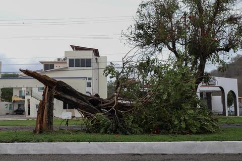 Hurricane Agatha Storms Mexico With 11 Believed Dead