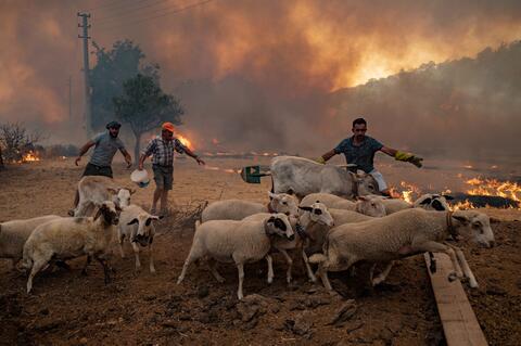 Turkish Firefighters Struggle to Control Wildfire in Marmaris