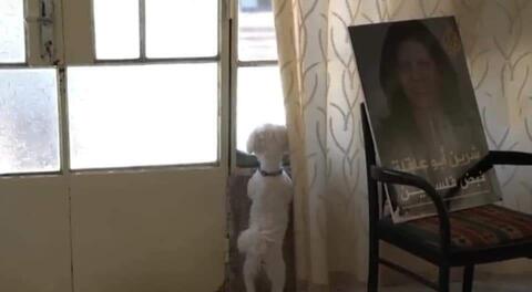 Palestinian Journalist Shireen Abu Akleh's Dog is Waiting for her Return