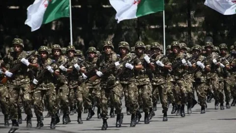 الجزائر تشهد اضخم عرض عسكري في تاريخها