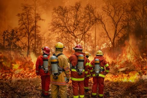 Firefighters Make Tremendous Progress in Combating California Wildfire