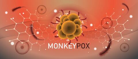 Monkeypox: New York Declared as a Disaster Emergency Area 