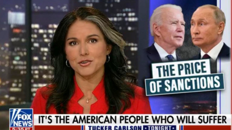 'Not About Morality or Ukrainians’: Tulsi Gabbard Slams NATO and the US