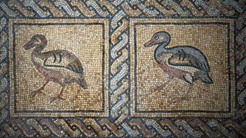 Europe's oldest treasure map, key to unlocking history