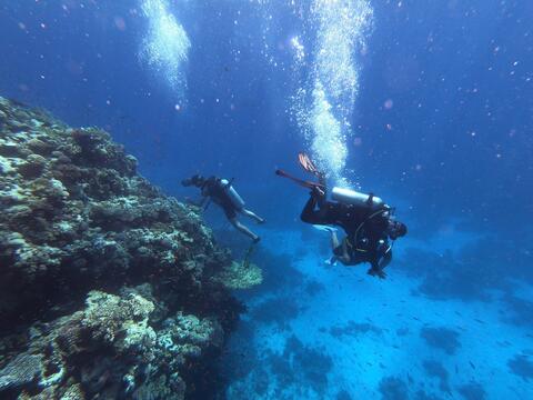 ماذا ستقدم 197 دولة في قمة شرم الشيخ للمناخ؟