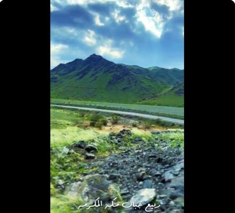 موعد تغيير كسوة الكعبة 2023