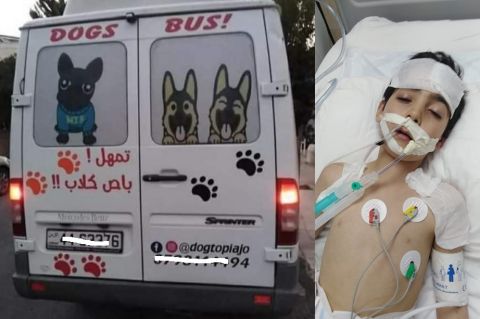 وفاة طفل نهشه كلب بعمان ومدرسة كلاب تستفز أردنيين