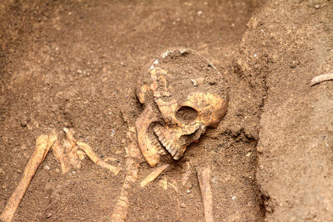 Roman burial unearths in hidden cemetery 