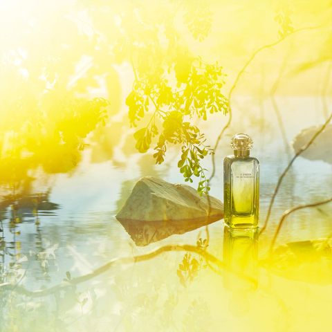 عطر جاردان دي مونسيور لي من إيرميس لصيف منعش.. مكوناته وسعره