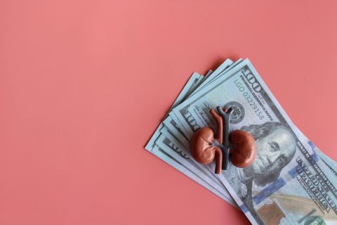 Was Telegram's CEO arrested over fraud and money laundering?